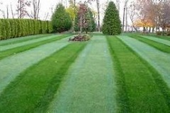Galena Lawn Care & Landscaping