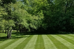 Galena Lawn Care & Landscaping