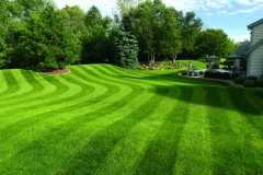 Galena Lawn Care & Landscaping