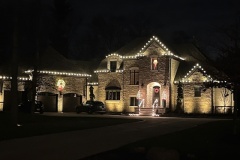residential Christmas light installation services-4