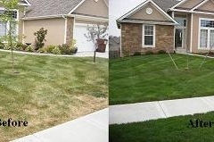 Before & After Landscaping