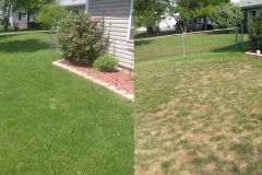 Before & After Landscaping