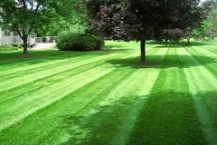 Galena Lawn Care & Landscaping