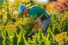 Residential and commercial landscaping
