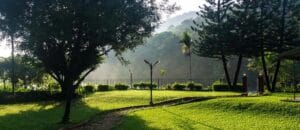 Commercial Lawn Services in Galena Ohio