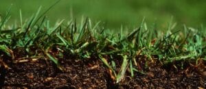 Lawn Seeding Services Galena, Ohio