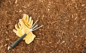 Advantages of Mulching