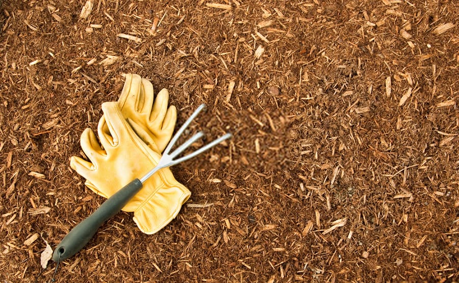 5 Advantages of Mulching