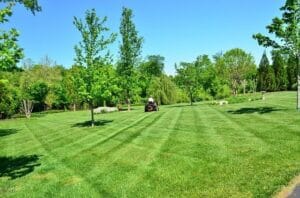 Different Types of Outdoor Landscape Installations