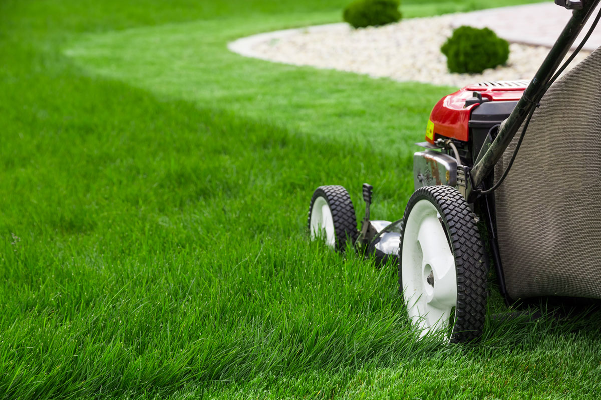 lawn care utah county