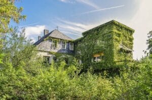 Ways to Makeover an Overgrown Garden