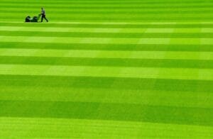 How Often Should You Cut Your Grass