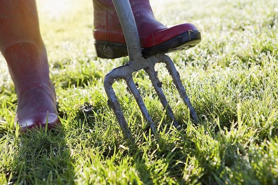 Can aeration and seeding be done in the spring?