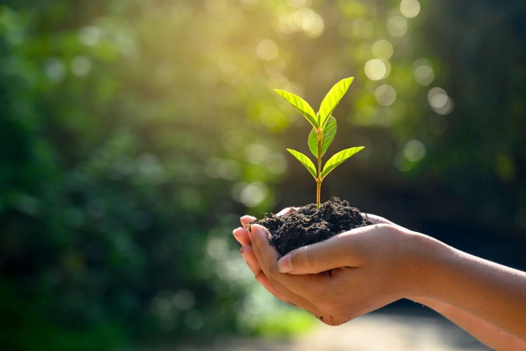 When is national naked gardening day 2022?