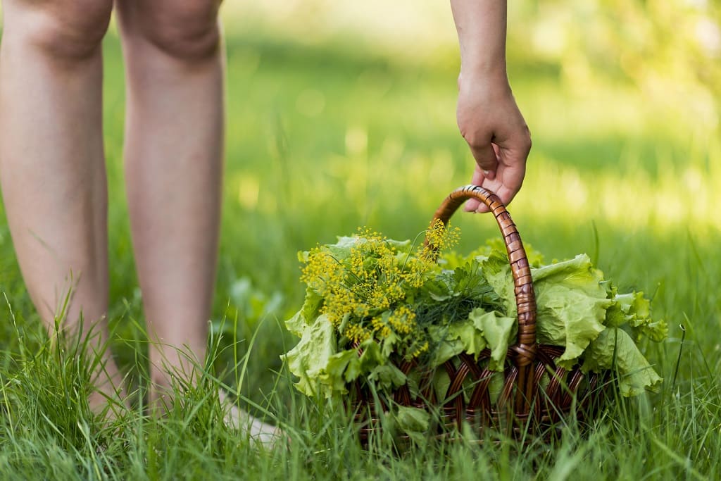 How do you get rid of crabgrass in your lawn?