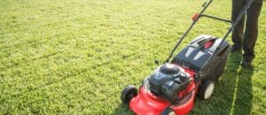Grass Cutting Service Westerville Ohio