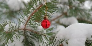 Christmas Light Installation FAQs