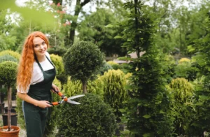 Galena Lawn Care & Landscaping Company