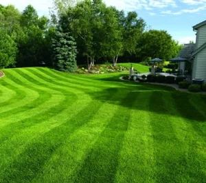 Best Lawn Care Services Near Galena Ohio