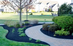 About Galena Lawn Care