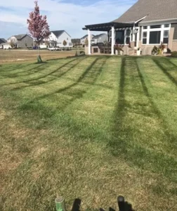 Grass Cutting