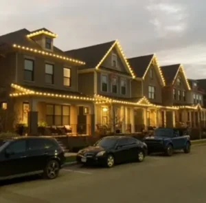 Christmas Light Installation