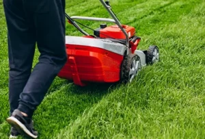 lawn mowing